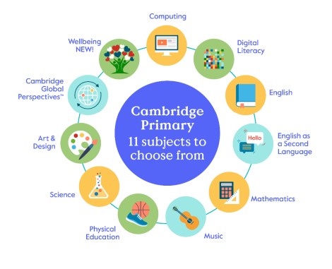 Cambridge Primary Curriculum